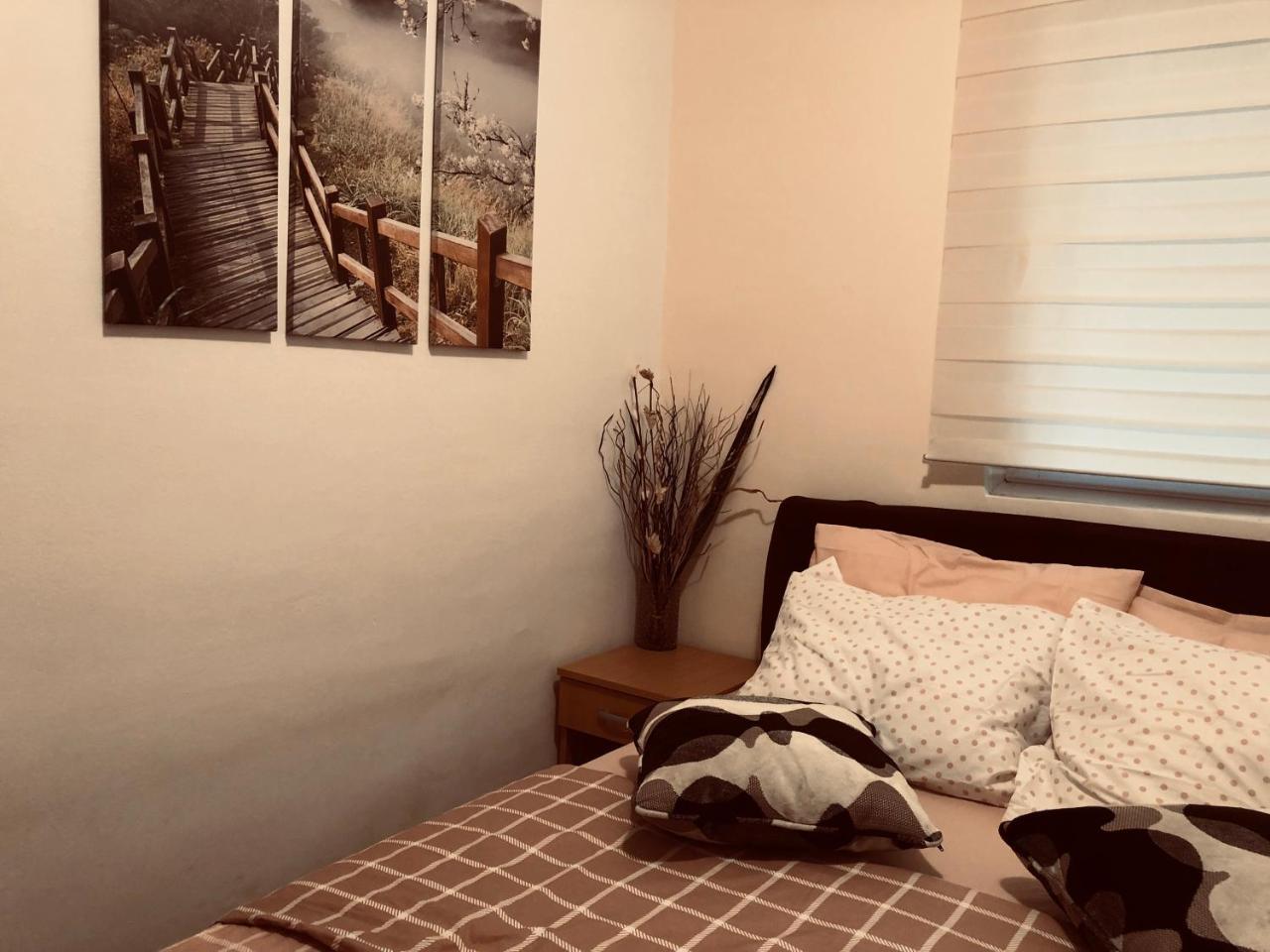 Apartments Aleksandar Petrovac Eksteriør billede